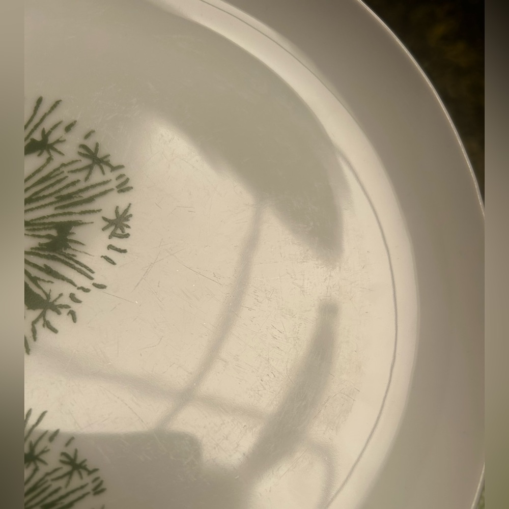 WEST ELM 3-pcs Green and White Botanical Dinnerware Set #0725257 - Picture 8 of 10